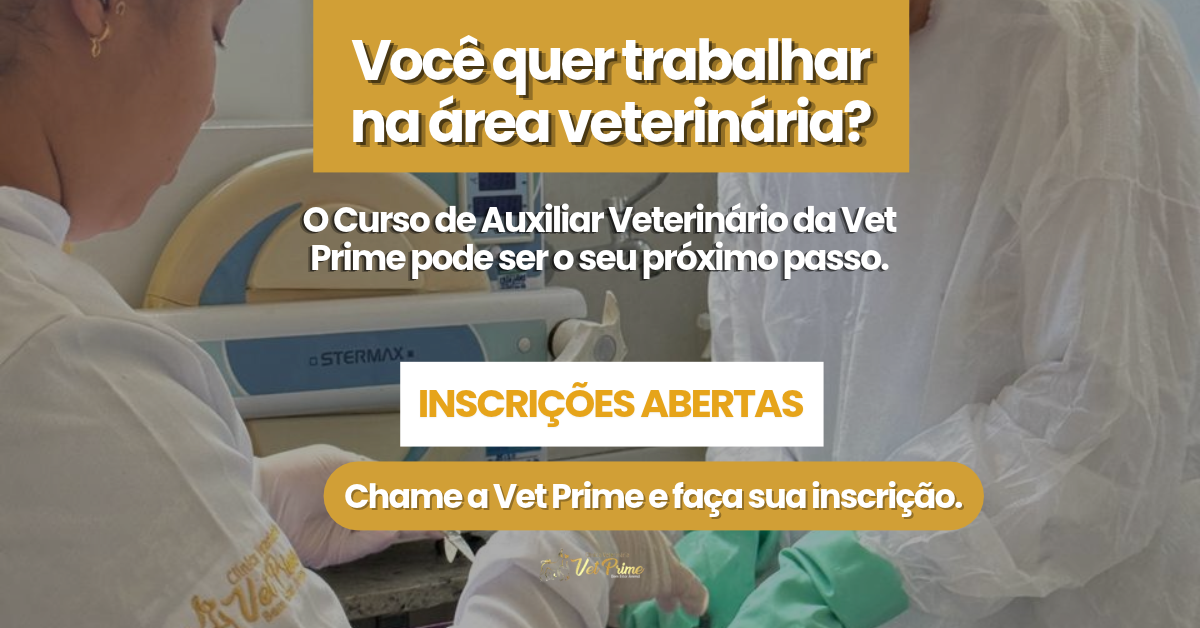 VET PRIME - STORY (1)